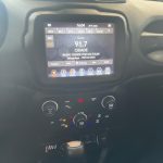 JEEP RENEGADE 2.0 16V TURBO DIESEL TRAILHAWK 4P 4X4 AUTOMÁTICO